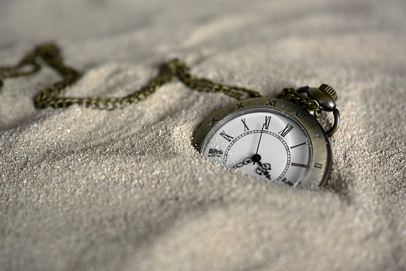 The Time Traveler